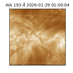 saia - 2026-01-29T01:00:04.843000