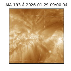 saia - 2026-01-29T09:00:04.843000