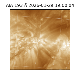 saia - 2026-01-29T19:00:04.843000