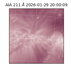 saia - 2026-01-29T20:00:09.626000