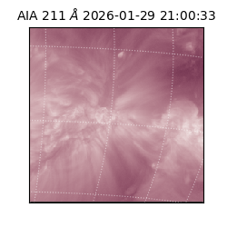 saia - 2026-01-29T21:00:33.626000