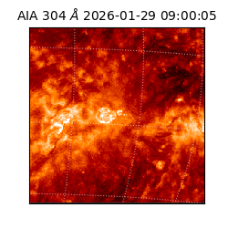 saia - 2026-01-29T09:00:05.130000