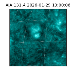 saia - 2026-01-29T13:00:06.630000