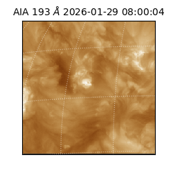 saia - 2026-01-29T08:00:04.842000