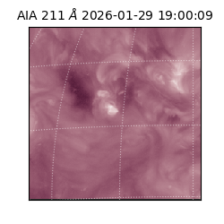 saia - 2026-01-29T19:00:09.626000