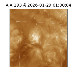 saia - 2026-01-29T01:00:04.843000