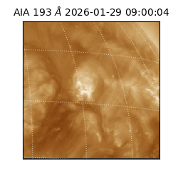 saia - 2026-01-29T09:00:04.843000