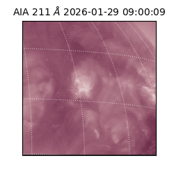 saia - 2026-01-29T09:00:09.626000
