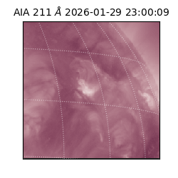 saia - 2026-01-29T23:00:09.618000