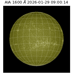 saia - 2026-01-29T09:00:14.126000