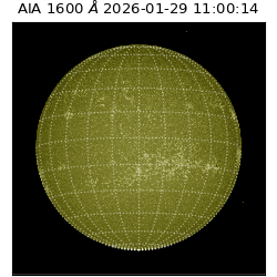 saia - 2026-01-29T11:00:14.125000