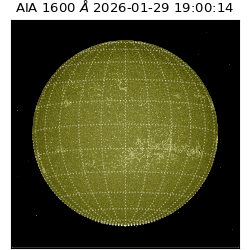 saia - 2026-01-29T19:00:14.126000