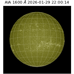 saia - 2026-01-29T22:00:14.126000