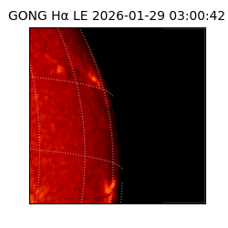 gong - 2026-01-29T03:00:42