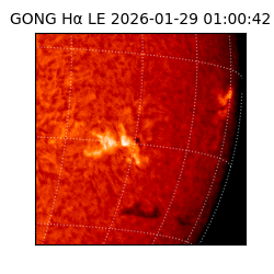 gong - 2026-01-29T01:00:42