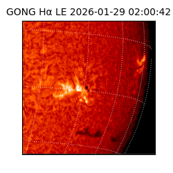 gong - 2026-01-29T02:00:42