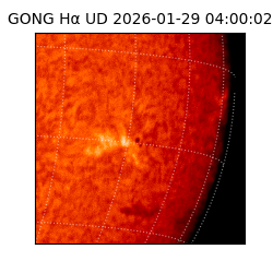 gong - 2026-01-29T04:00:02