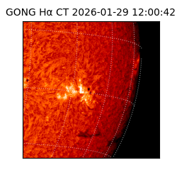 gong - 2026-01-29T12:00:42