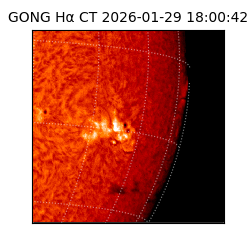 gong - 2026-01-29T18:00:42