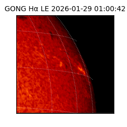 gong - 2026-01-29T01:00:42