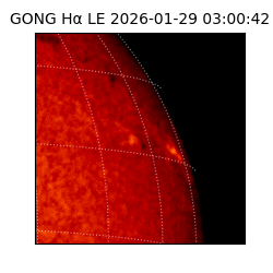 gong - 2026-01-29T03:00:42