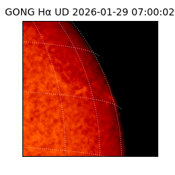 gong - 2026-01-29T07:00:02