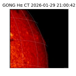 gong - 2026-01-29T21:00:42