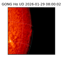 gong - 2026-01-29T08:00:02