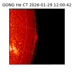 gong - 2026-01-29T12:00:42