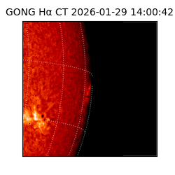 gong - 2026-01-29T14:00:42