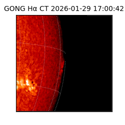 gong - 2026-01-29T17:00:42