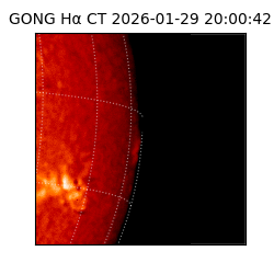 gong - 2026-01-29T20:00:42
