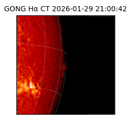 gong - 2026-01-29T21:00:42