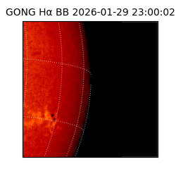 gong - 2026-01-29T23:00:02
