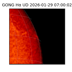 gong - 2026-01-29T07:00:02