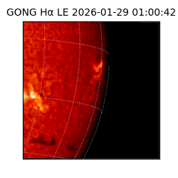 gong - 2026-01-29T01:00:42