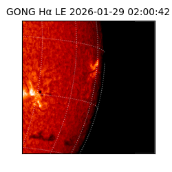 gong - 2026-01-29T02:00:42