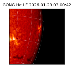 gong - 2026-01-29T03:00:42