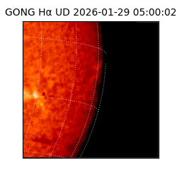 gong - 2026-01-29T05:00:02