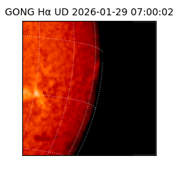 gong - 2026-01-29T07:00:02