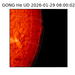 gong - 2026-01-29T08:00:02