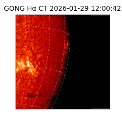 gong - 2026-01-29T12:00:42
