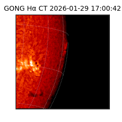 gong - 2026-01-29T17:00:42