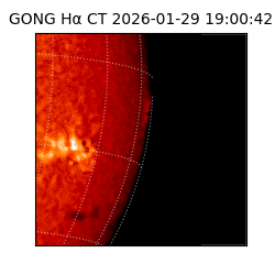 gong - 2026-01-29T19:00:42