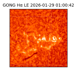 gong - 2026-01-29T01:00:42