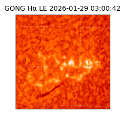 gong - 2026-01-29T03:00:42