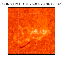 gong - 2026-01-29T06:00:02
