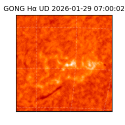 gong - 2026-01-29T07:00:02