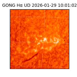 gong - 2026-01-29T10:01:02