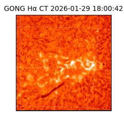 gong - 2026-01-29T18:00:42